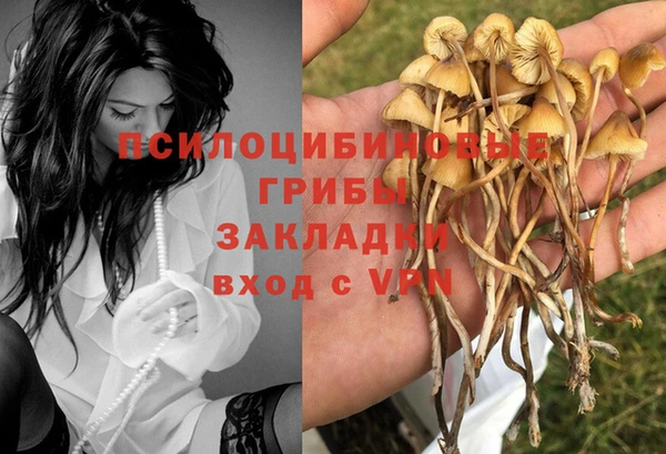 хмурый Куйбышев