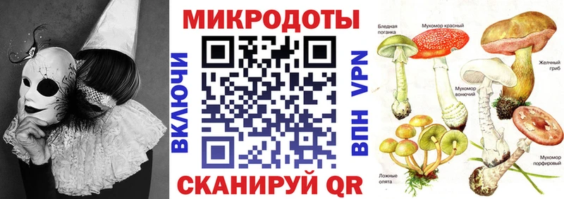 Галлюциногенные грибы Magic Shrooms  Купить закладки  Кировск 